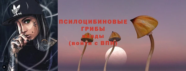 СК Абдулино