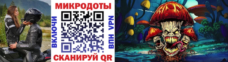 Галлюциногенные грибы MAGIC MUSHROOMS  где найти наркотики  Воронеж 