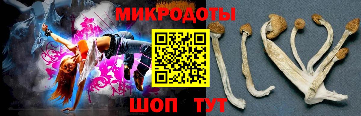 Галлюциногенные грибы прущие грибы Воронеж